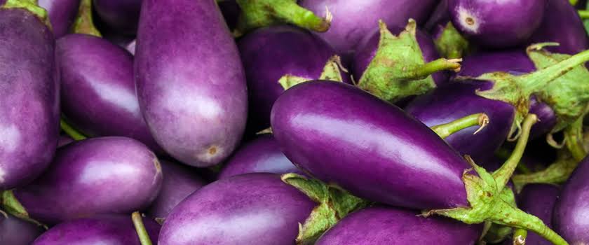 Brinjal